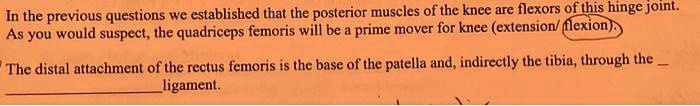 In the previous questions we established that the posterior muscles of the knee are flexors of this hinge joint.
As you would suspect, the quadriceps femoris will be a prime mover for knee (extension/ flexion).
The distal attachment of the rectus femoris is the base of the patella and, indirectly the tibia, through the 
 ligament.