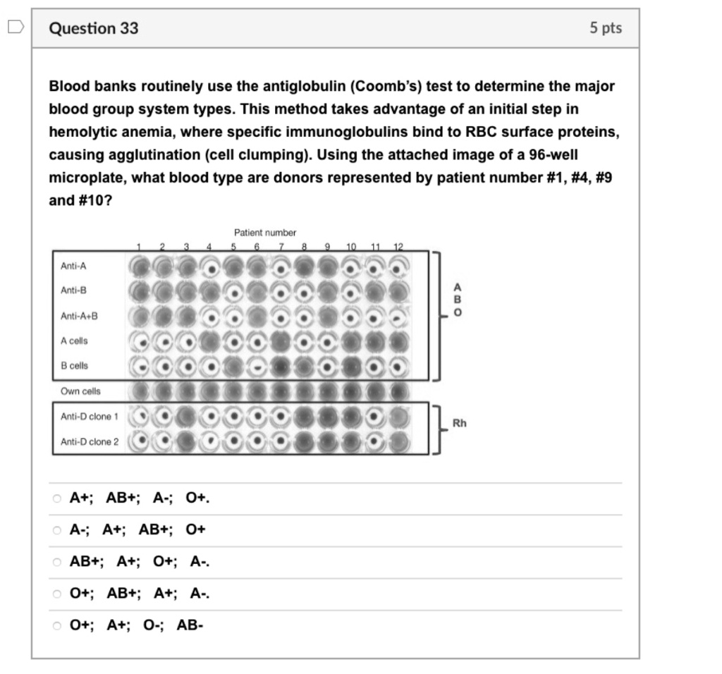 SOLVED: Question 33 5 Pts Blood Banks Routinely Use The Antiglobulin ...