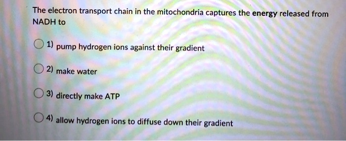 The electron transport chain in the mitochondria captures the energy released from NADH to
1) pump hydrogen ions against their gradient
2) make water
3) directly make ATP
4) allow hydrogen ions to diffuse down their gradient