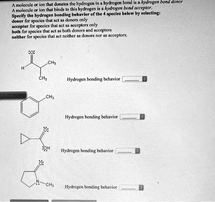 SOLVED: A molecule or ion that donales the hydrogen in a hydrogen bond ...