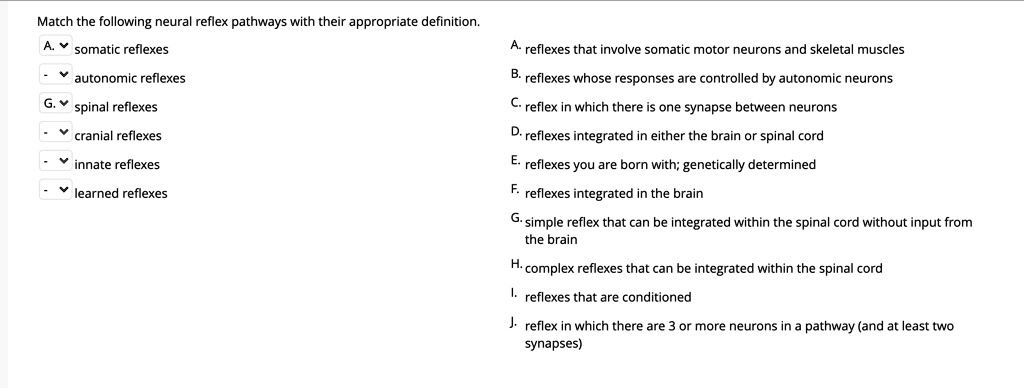 SOLVED: Match the following neural reflex pathways with their