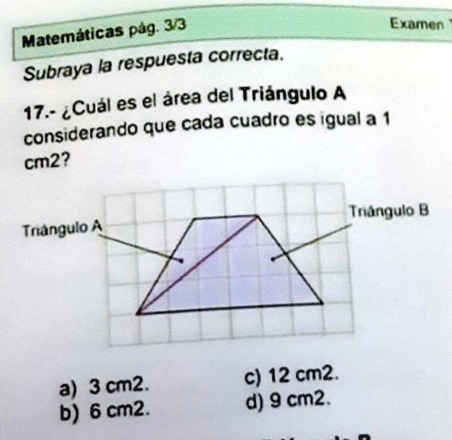 SOLVED: Cuál es el área del triángulo a Ciudad que cada cuadro es igual ...