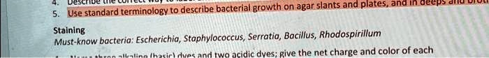 4. D 5. Use standard terminology to describe bacterial growth on agar ...