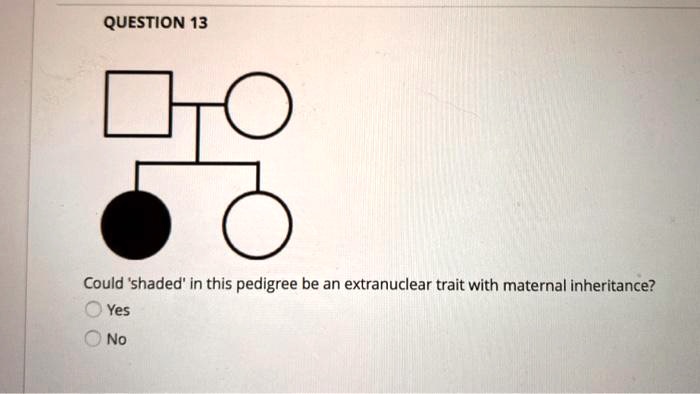 Could 'shaded' in this pedigree be an extranuclear trait with maternal inheritance?
Yes
No