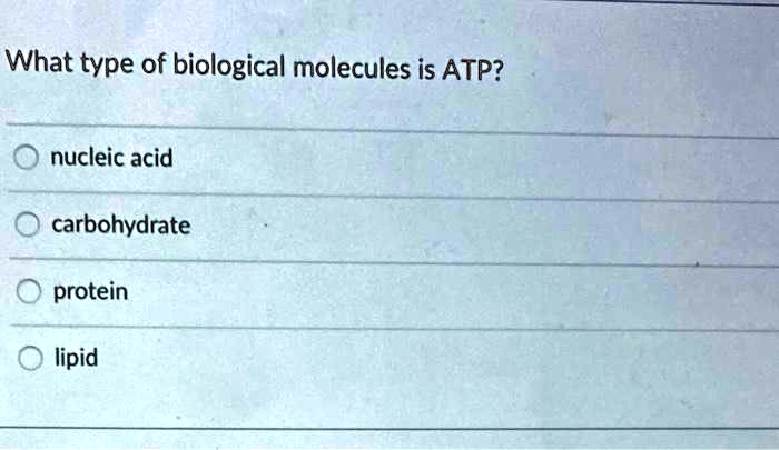 What type of biological molecules is ATP?
nucleic acid
carbohydrate
protein
lipid