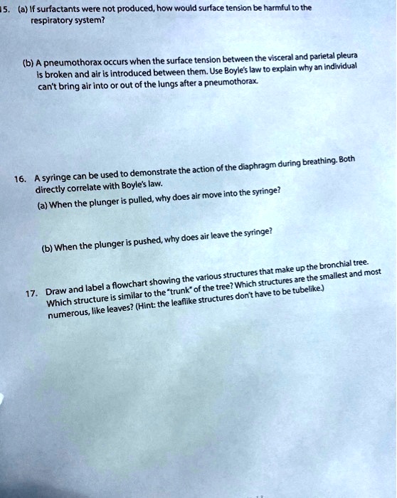 SOLVED: a) If surfactants were not produced, how would surface tension