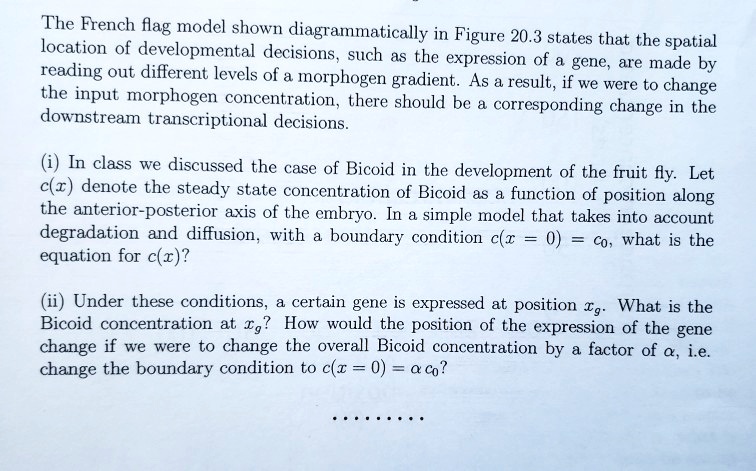 The French flag model shown diagrammatically in Figure 20.3 states that the spatial
location of developmental decisions, such as the expression of a gene, are made by
reading out different levels of a morphogen gradient. As a result, if we were to change
the input morphogen concentration, there should be a corresponding change in the
downstream transcriptional decisions.

(i) In class we discussed the case of Bicoid in the development of the fruit fly. Let
c(x) denote the steady state concentration of Bicoid as a function of position along
the anterior-posterior axis of the embryo. In a simple model that takes into account
degradation and diffusion, with a boundary condition c(x = 0) = c0, what is the
equation for c(x)?

(ii) Under these conditions, a certain gene is expressed at position xg. What is the
Bicoid concentration at xg? How would the position of the expression of the gene
change if we were to change the overall Bicoid concentration by a factor of ?, i.e.
change the boundary condition to c(x = 0) = ?c0?