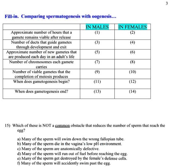 Fill-in. Comparing spermatogenesis with oogenesis...
IN MALES
IN FEMALES
Approximate number of hours that a gamete remains viable after release
(1)
(2)
Number of ducts that guide gametes through development and exit
(3)
(4)
Approximate number of new gametes that are produced each day in an adult's life
(5)
(6)
Number of chromosomes each gamete carries
(7)
(8)
Number of viable gametes that the completion of meiosis produces
(9)
(10)
When does gametogenesis begin?
(11)
(12)
When does gametogenesis end?
(13)
(14)
15) Which of these is NOT a common obstacle that reduces the number of sperm that reach the egg?
a) Many of the sperm will swim down the wrong fallopian tube.
b) Many of the sperm die in the vagina's low pH environment.
c) Many of the sperm are anatomically defective.
d) Many of the sperm will run out of fuel before reaching the egg.
e) Many of the sperm get destroyed by the female's defense cells.
f) Many of the sperm will accidently swim past the egg.