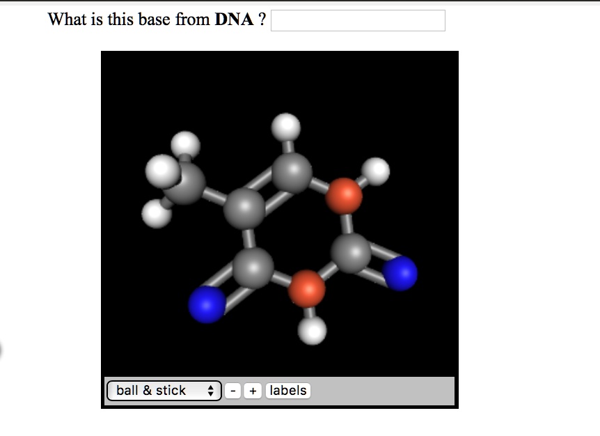 solved-what-is-this-base-from-dna-ball-stick-labels