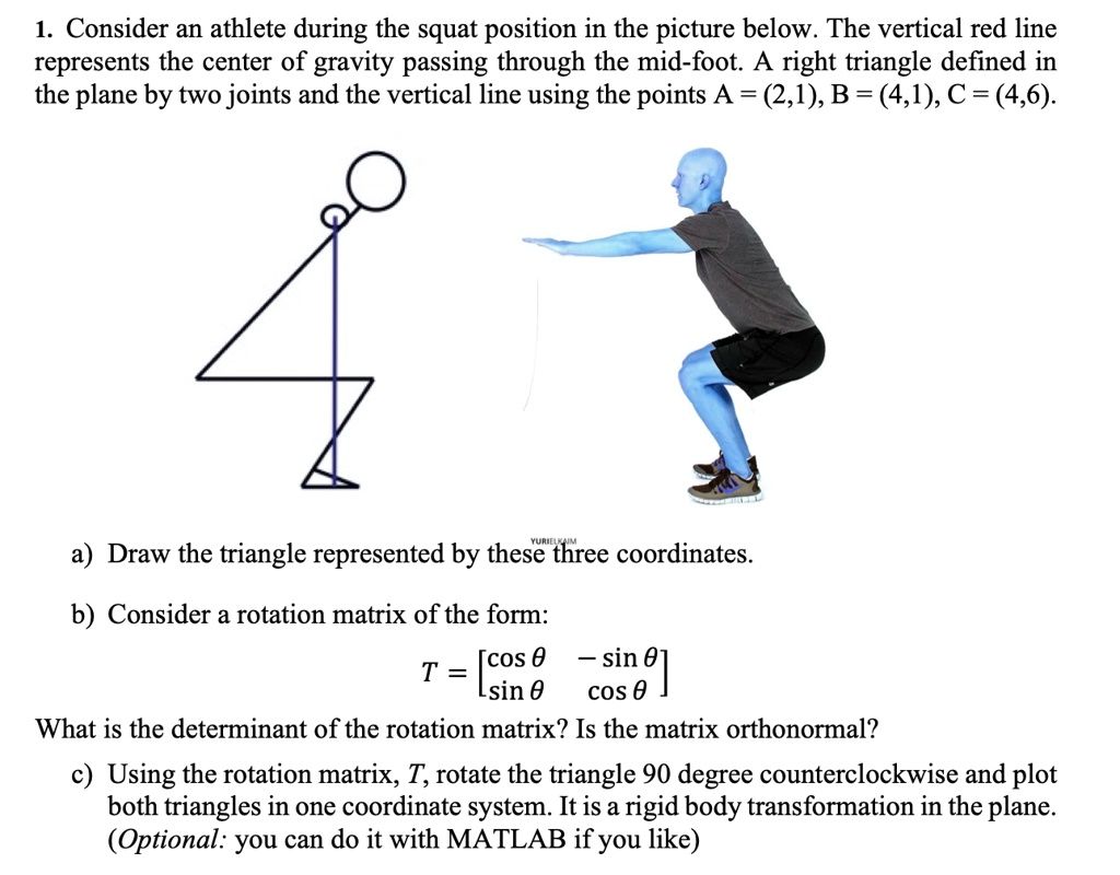 SOLVED 1. Consider an athlete during the squat position in the picture