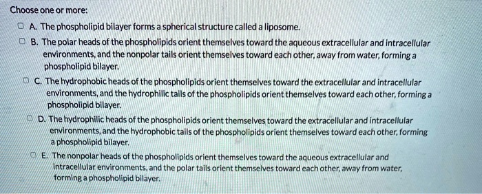 Choose one or more:
A. The phospholipid bilayer forms a spherical structure called a liposome.
B. The polar heads of the phospholipids orient themselves toward the aqueous extracellular and intracellular environments, and the nonpolar tails orient themselves toward each other, away from water, forming a phospholipid bilayer.
C. The hydrophobic heads of the phospholipids orient themselves toward the extracellular and intracellular environments, and the hydrophilic tails of the phospholipids orient themselves toward each other, forming a phospholipid bilayer.
D. The hydrophilic heads of the phospholipids orient themselves toward the extracellular and intracellular environments, and the hydrophobic tails of the phospholipids orient themselves toward each other, forming a phospholipid bilayer.
E. The nonpolar heads of the phospholipids orient themselves toward the aqueous extracellular and intracellular environments, and the polar tails orient themselves toward each other, away from water, forming a phospholipid bilayer.