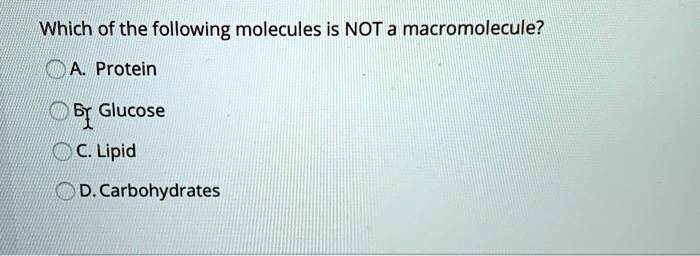 Which of the following molecules is NOT a macromolecule?
A. Protein
B. Glucose
C. Lipid
D. Carbohydrates