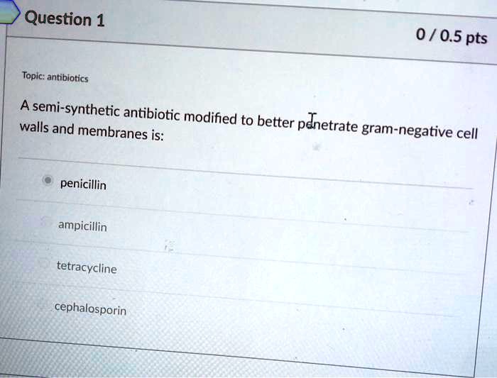 SOLVED Topic antibiotics The semisynthetic antibiotic modified walls