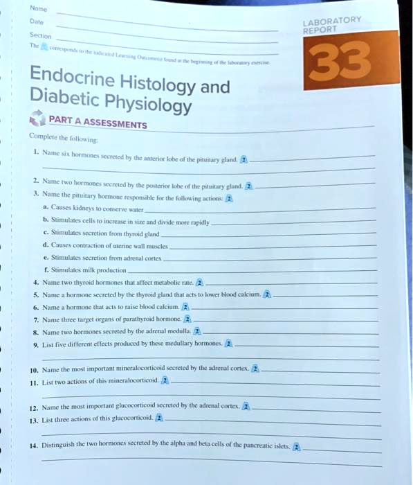 SOLVED REPORT LABORATORY 33 Endocrine Histology and Diabetic