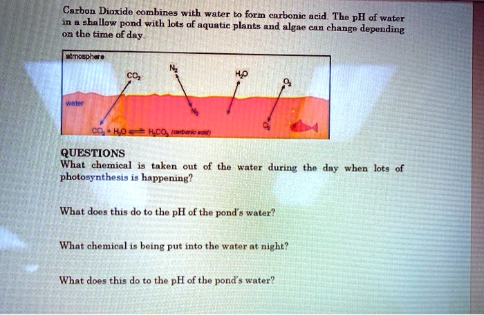 SOLVED: Carbon Dioxide combines with water to form carbonic acid The pH ...