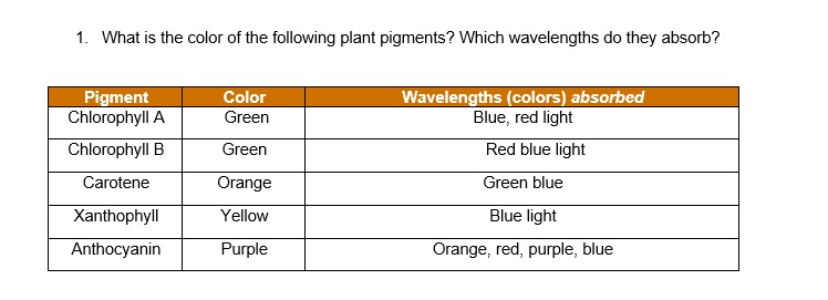 Colour - Wavelengths, Pigments, Light