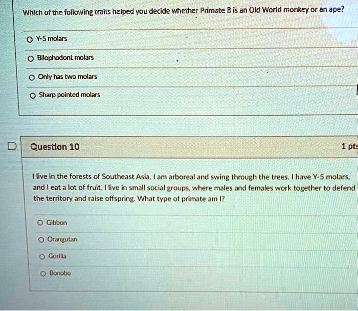SOLVED Which of the following traits helped you decide whether Primate