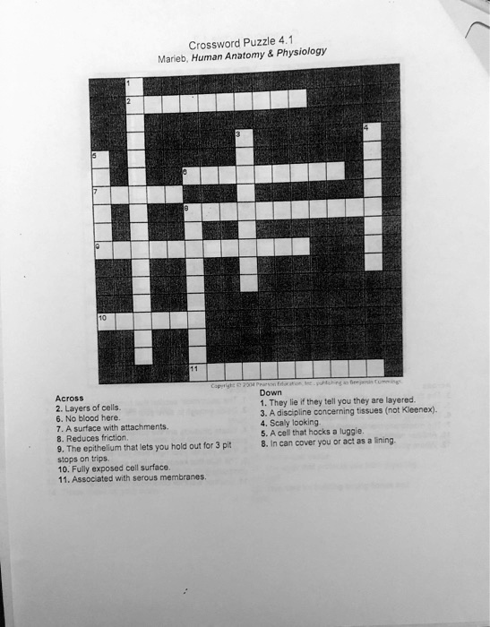 SOLVED: Crossword Puzzle 4 1 Marieb Human Anatomy Physiology
