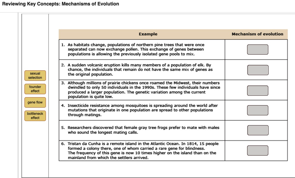 Reviewing Key Concepts: Mechanisms of Evolution

sexual selection
founder effect
gene flow
bottleneck effect

Example | Mechanism of evolution
1. As habitats change, populations of northern pine trees that were once separated can now exchange pollen. This exchange of genes between populations is allowing the previously isolated gene pools to mix.
2. A sudden volcanic eruption kills many members of a population of elk. By chance, the individuals that remain do not have the same mix of genes as the original population.
3. Although millions of prairie chickens once roamed the Midwest, their numbers dwindled to only 50 individuals in the 1990s. These few individuals have since produced a larger population. The genetic variation among the current population is quite low.
4. Insecticide resistance among mosquitoes is spreading around the world after mutations that originate in one population are spread to other populations through matings.
5. Researchers discovered that female gray tree frogs prefer to mate with males who sound the longest mating calls.
6. Tristan da Cunha is a remote island in the Atlantic Ocean. In 1814, 15 people formed a colony there, one of whom carried a rare gene for blindness. The frequency of this gene is now 10 times higher on the island than on the mainland from which the settlers arrived.