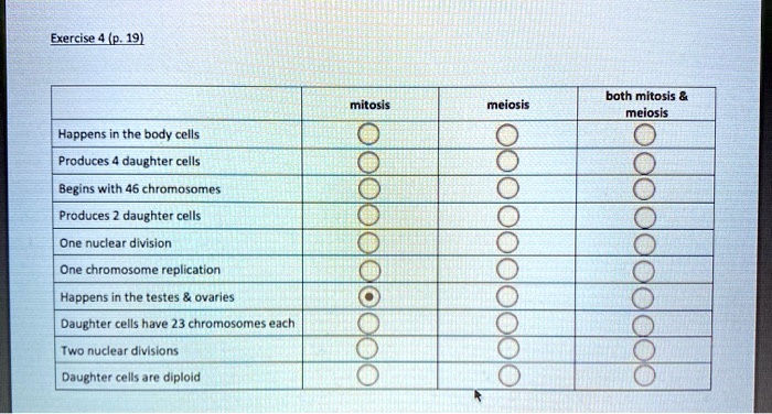 mitosis meiosis both mitosis     meiosis
Happens in the body cells
Produces 4 daughter cells
Begins with 46 chromosomes
Produces 2 daughter cells
One nuclear division
One chromosome replication
Happens in the testes     ovaries
Daughter cells have 23 chromosomes each
Two nuclear divisions
Daughter cells are diploid