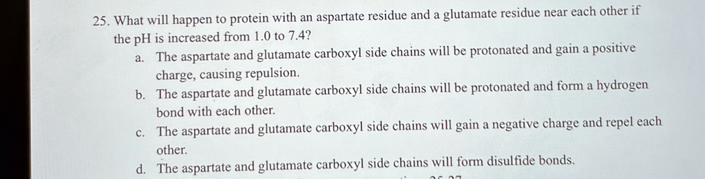 25. What will happen to protein with an aspartate residue and a glutamate residue near each other if
the pH is increased from 1.0 to 7.4?
a. The aspartate and glutamate carboxyl side chains will be protonated and gain a positive
charge, causing repulsion.
b. The aspartate and glutamate carboxyl side chains will be protonated and form a hydrogen
bond with each other.
c. The aspartate and glutamate carboxyl side chains will gain a negative charge and repel each
other.
d. The aspartate and glutamate carboxyl side chains will form disulfide bonds.