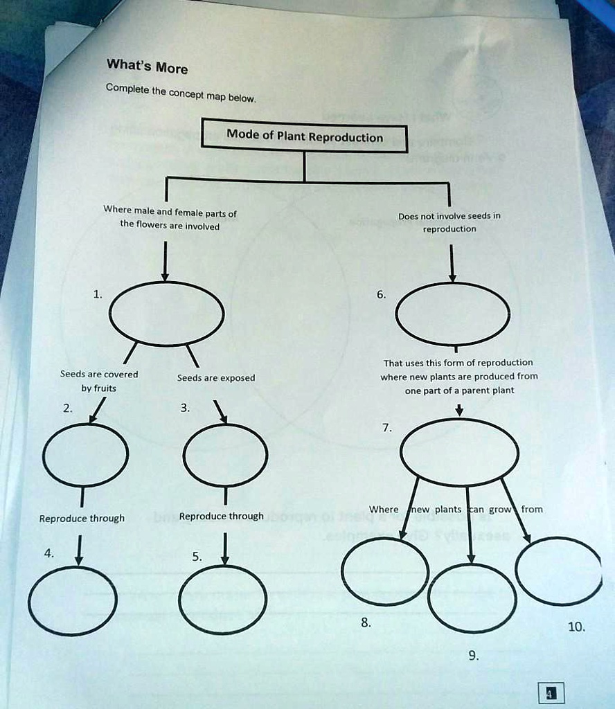 SOLVED "What's the concept map below. What's More