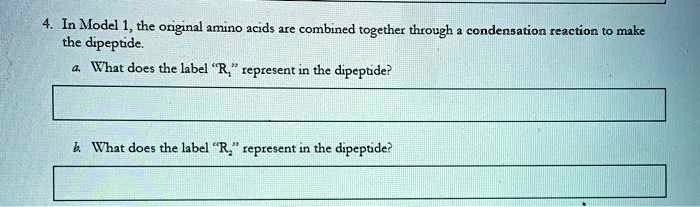 solved-in-module-1-the-original-amino-acids-are-combined-together