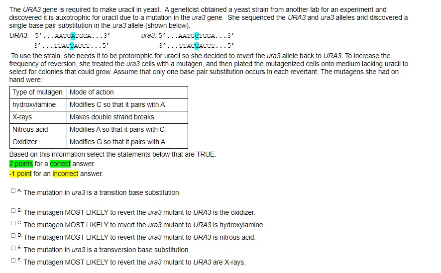 The URA3 gene is required to make uracil in yeast. A geneticist obtained a yeast strain from another lab for an experiment and discovered it is auxotrophic for uracil due to a mutation in the ura3 gene. She sequenced the URA3 and ura3 alleles and discovered a single base pair substitution in the ura3 allele (shown below).
URA3: 5' . . . AATGATGGA . . . 3' ura3: 5' . . . AATGCTGGA . . . 3'
3' . . . TTACTACCT . . . 5' 3' . . . TTACGACCT . . . 5'
To use the strain, she needs it to be prototrophic for uracil so she decided to revert the ura3 allele back to URA3. To increase the frequency of reversion, she treated the ura3 cells with a mutagen, and then plated the mutagenized cells onto medium lacking uracil to select for colonies that could grow. Assume that only one base pair substitution occurs in each revertant. The mutagens she had on hand were:
Type of mutagen | Mode of action
hydroxylamine | Modifies C so that it pairs with A
X-rays | Makes double strand breaks
Nitrous acid | Modifies A so that it pairs with C
Oxidizer | Modifies G so that it pairs with A
Based on this information select the statements below that are TRUE.
A. The mutation in ura3 is a transition base substitution.
B. The mutagen MOST LIKELY to revert the ura3 mutant to URA3 is the oxidizer.
C. The mutagen MOST LIKELY to revert the ura3 mutant to URA3 is hydroxylamine.
D. The mutagen MOST LIKELY to revert the ura3 mutant to URA3 is nitrous acid.
E. The mutation in ura3 is a transversion base substitution.
F. The mutagen MOST LIKELY to revert the ura3 mutant to URA3 are X-rays.