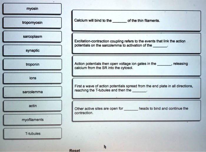 SOLVED Place A Single Word Into Each Sentence To Make It Correct And conclusion-transition-words-and-phrases-k12reader