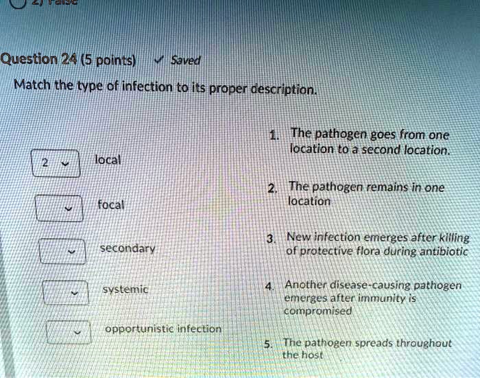 SOLVED: ( Question 24 (5 points) Saved Match the type of infection t0 ...