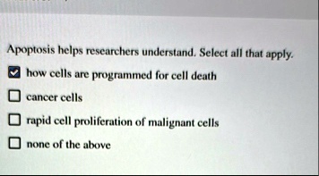apoptosis helps researchers understand select all that apply how cells are programmed for cell death cancer cells rapid cell proliferation of malignant cells none of the above 34433