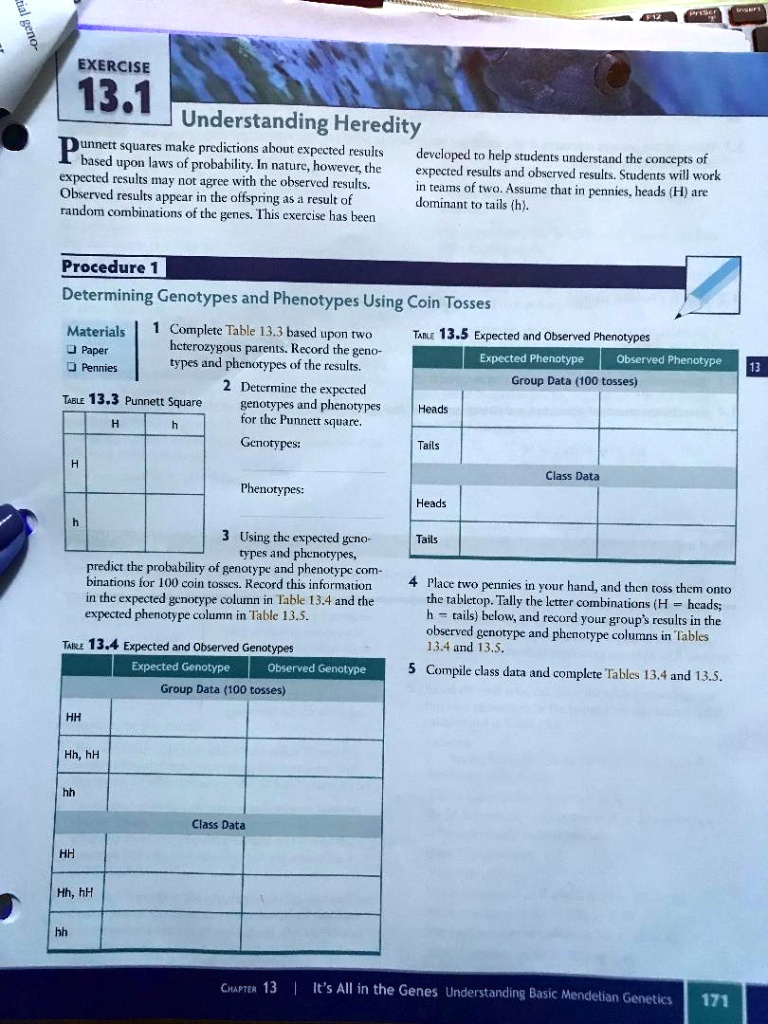 SOLVED Exercise 13.1 Understanding Heredity Punnett squares make