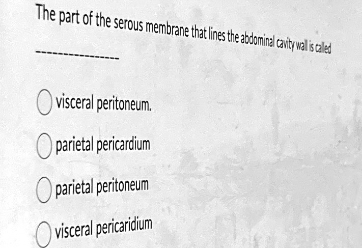 The part of the serous membrane that lines the abdominal cavity wall is ...