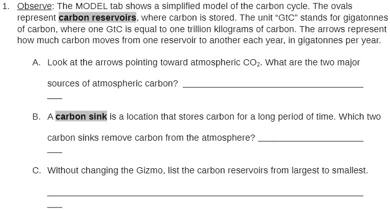 observe the model tab shows a simplified model of the carbon cycle the ...