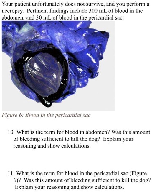 solved-please-answer-correctly-your-patient-unfortunately-does-not