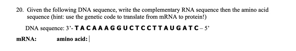 20 given the following dna sequence write the complementary rna ...