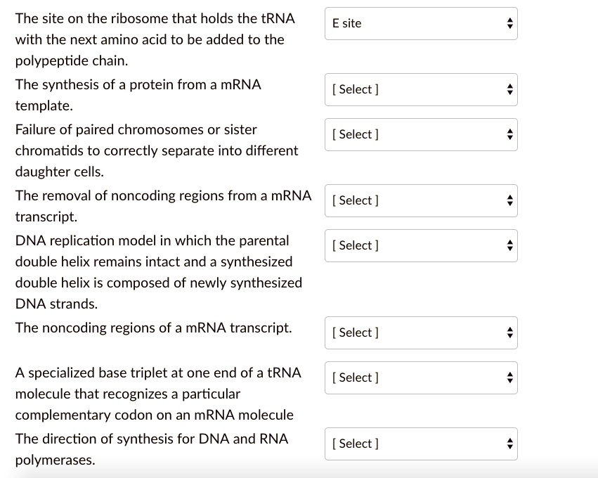 The site on the ribosome that holds the tRNA with the next amino acid to be added to the polypeptide chain.
The synthesis of a protein from a mRNA template.
Failure of paired chromosomes or sister chromatids to correctly separate into different daughter cells.
The removal of noncoding regions from a mRNA transcript.
DNA replication model in which the parental double helix remains intact and a synthesized double helix is composed of newly synthesized DNA strands.
The noncoding regions of a mRNA transcript.
A specialized base triplet at one end of a tRNA molecule that recognizes a particular complementary codon on an mRNA molecule
The direction of synthesis for DNA and RNA polymerases.