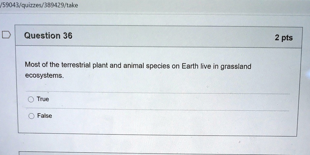 SOLVED '/59043/quizzes/389429/take Question 36 2 pts Most of the