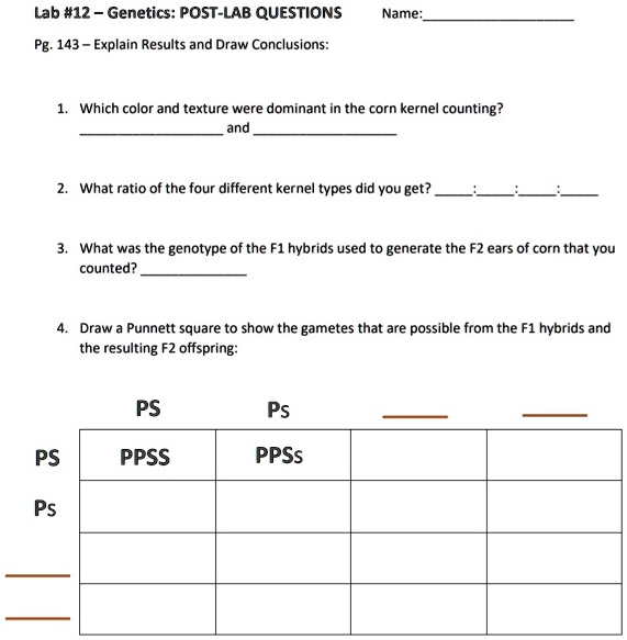 SOLVED: Lab #12 - Genetics: POST-LAB QUESTIONS Name: Pg: 143 Explain ...