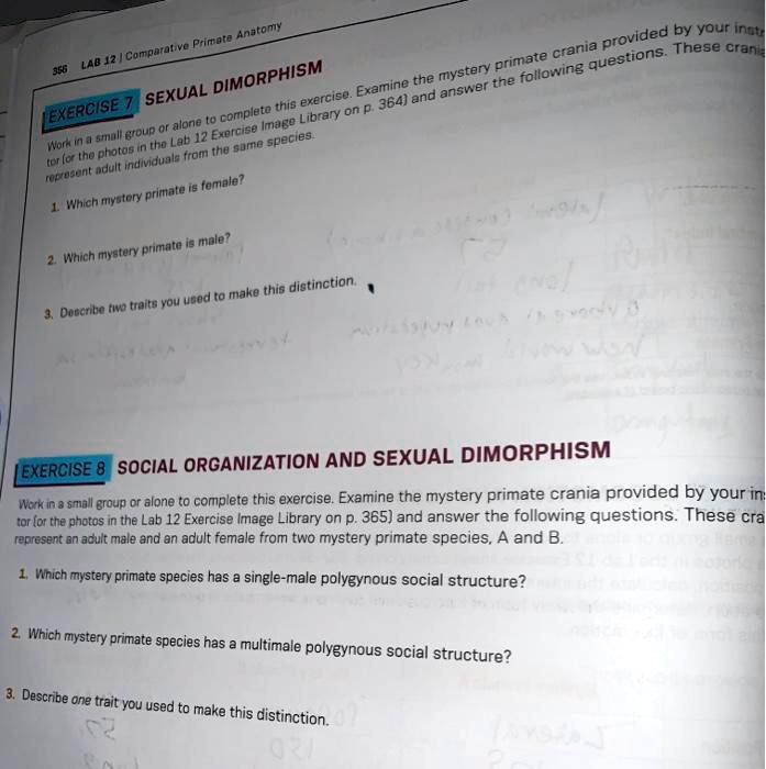 EXERCISE 7 SEXUAL DIMORPHISM
Work in a small group or alone to complete this exercise. Examine the mystery primate crania provided by your instructor (or the photos in the Lab 12 Exercise Image Library on p. 364) and answer the following questions. These crania represent adult individuals from the same species.
1. Which mystery primate is female?
2. Which mystery primate is male?
3. Describe two traits you used to make this distinction.
EXERCISE 8 SOCIAL ORGANIZATION AND SEXUAL DIMORPHISM
Work in a small group or alone to complete this exercise. Examine the mystery primate crania provided by your instructor (or the photos in the Lab 12 Exercise Image Library on p. 365) and answer the following questions. These crania represent an adult male and an adult female from two mystery primate species, A and B.
1. Which mystery primate species has a single-male polygynous social structure?
2. Which mystery primate species has a multimale polygynous social structure?
3. Describe one trait you used to make this distinction.