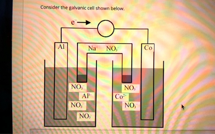 SOLVED: Consider the galvanic cell shown below. Na NO Co NO; AF NO; NO ...