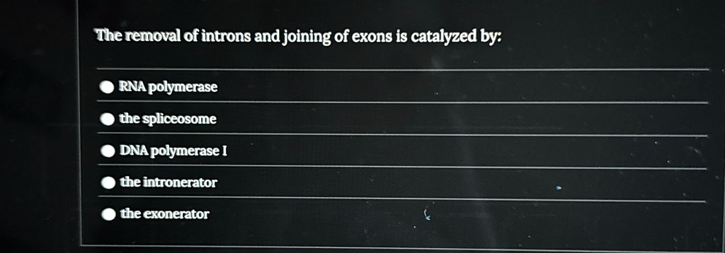 the removal of introns and joining of exons is catalyzed by rna polymerase the spliceosome dna polymerase i the intronerator the exonerator 79128