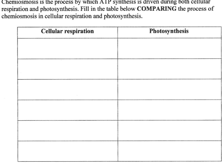 SOLVED: respiration and photosynthesis.Fill in the table below ...