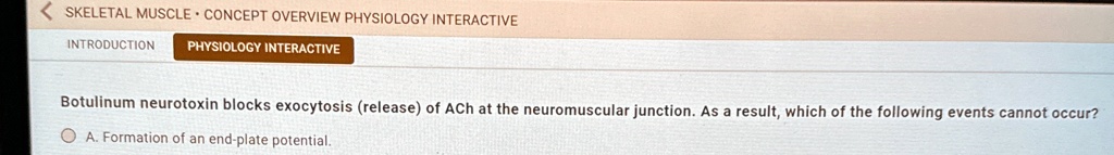 skeletal muscle concept overview physiology interactive introduction ...