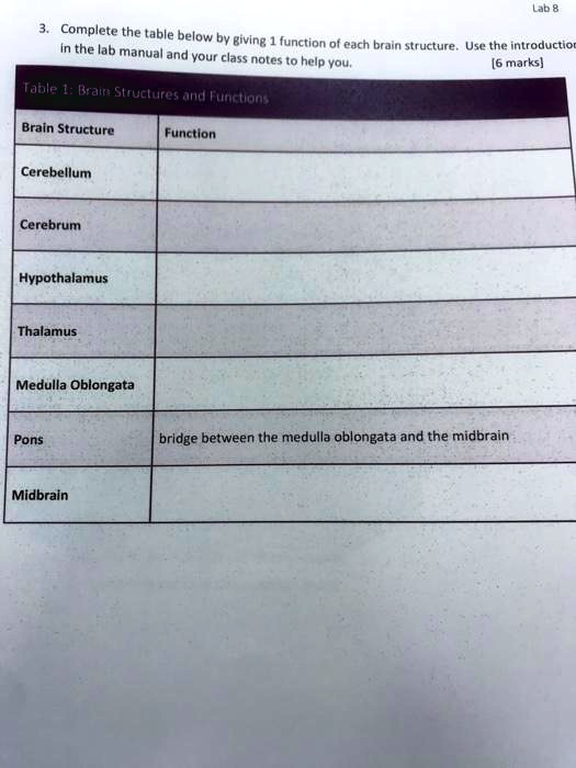 3. Complete the table below by giving 1 function of each brain structure. Use the introduction in the lab manual and your class notes to help you. [6 marks]

Table 1: Brain Structures and Functions

Brain Structure | Function
Cerebellum |
Cerebrum |
Hypothalamus |
Thalamus |
Medulla Oblongata |
Pons | bridge between the medulla oblongata and the midbrain
Midbrain |