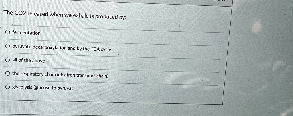 The CO2 released when we exhale is produced by:
Ofermentation
opyruvate decarboxylation and by the TCA cycle.
all of the above
the respiratory chain (electron transport chain)
glycolysis (glucose to pyruvat