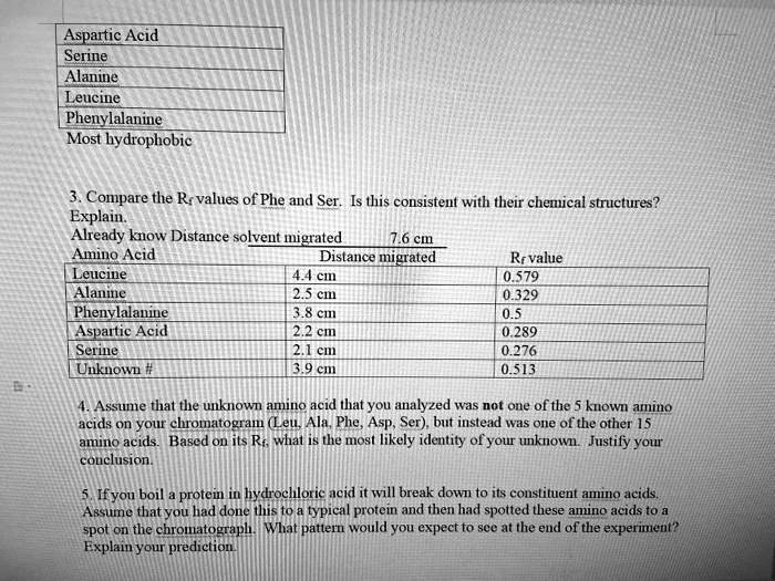 Aspartic Acid
Serine
Alanine
Leucine
Phenylalanine
Most hydrophobic

3. Compare the Rf values of Phe and Ser. Is this consistent with their chemical structures?
Explain.
Already know Distance solvent migrated 7.6 cm
Amino Acid | Distance migrated | Rf value
Leucine | 4.4 cm | 0.579
Alanine | 2.5 cm | 0.329
Phenylalanine | 3.8 cm | 0.5
Aspartic Acid | 2.2 cm | 0.289
Serine | 2.1 cm | 0.276
Unknown # | 3.9 cm | 0.513

4. Assume that the unknown amino acid that you analyzed was not one of the 5 known amino acids on your chromatogram (Leu, Ala, Phe, Asp, Ser), but instead was one of the other 15 amino acids. Based on its Rf, what is the most likely identity of your unknown. Justify your conclusion.

5. If you boil a protein in hydrochloric acid it will break down to its constituent amino acids. Assume that you had done this to a typical protein and then had spotted these amino acids to a spot on the chromatograph. What pattern would you expect to see at the end of the experiment? Explain your prediction.