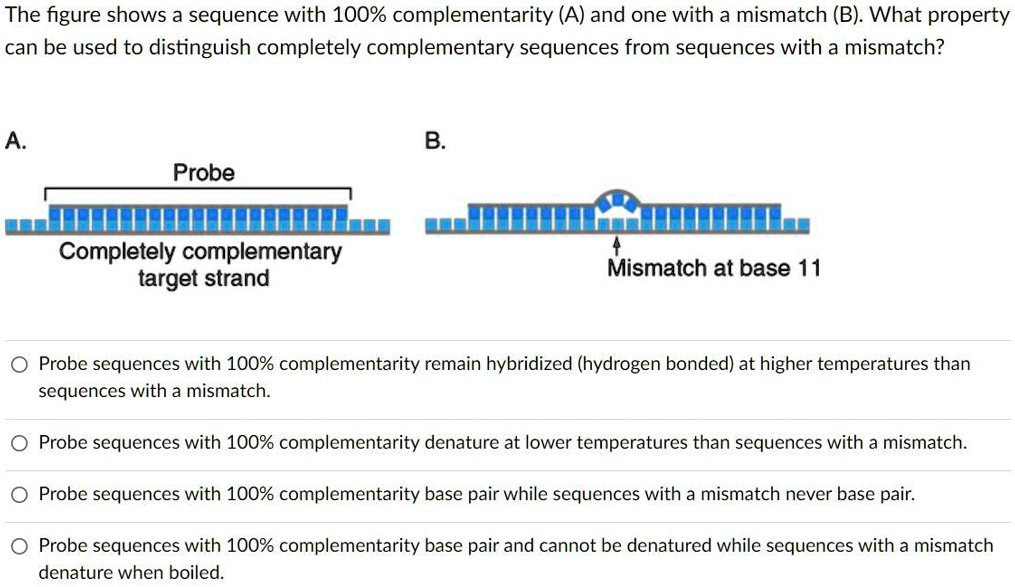 SOLVED The figure shows a sequence with 100 complementarity (A) and