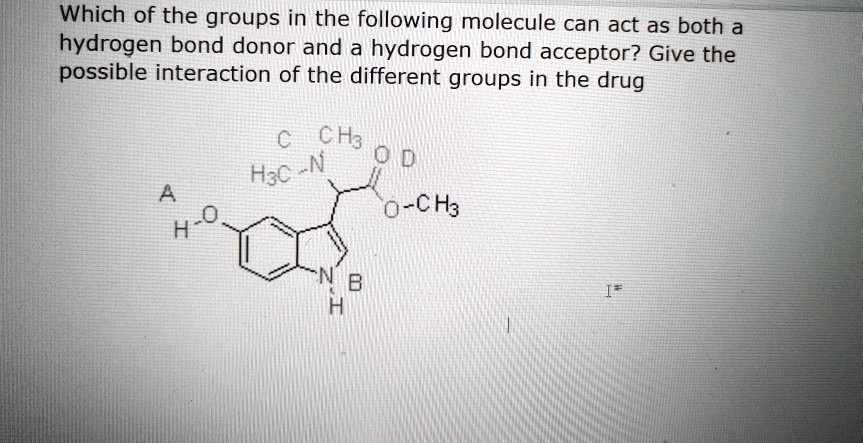 SOLVED: Which of the groups in the following molecule can act as both a ...