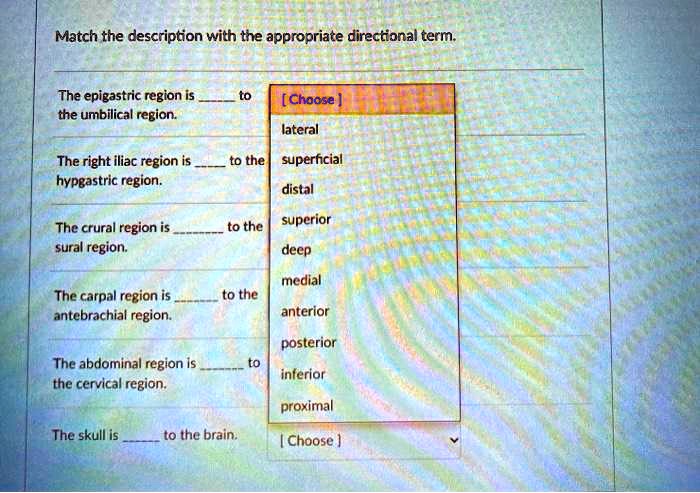 abdominal-region-smallcollation